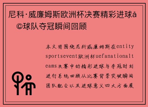 尼科·威廉姆斯欧洲杯决赛精彩进球助球队夺冠瞬间回顾